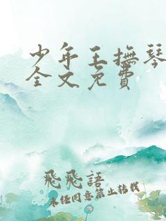 少年王抚琴的人全文免费
