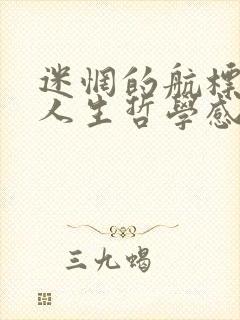 迷惘的航标――人生哲学感悟