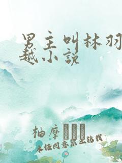 男主叫林羽的穿越小说