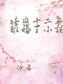 暗恋十二年的他离婚了小说