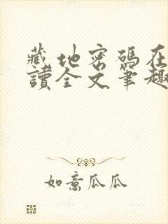 藏地密码在线阅读全文笔趣阁