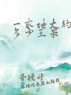 一亩地大约能产多少玉米