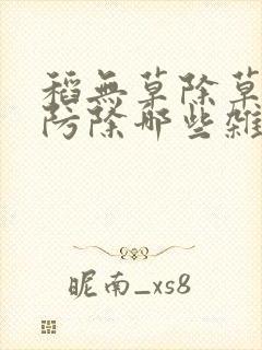 稻无草除草剂能防除哪些杂草