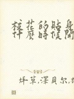 校花的贴身高手什么时候开始写的?