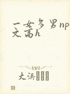 一女多男np辣文高h