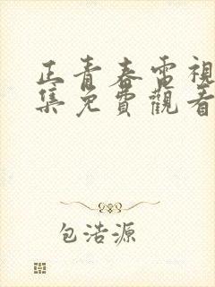 正青春电视剧全集免费观看完整版
