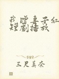 我赠妻子红缨枪短剧播放