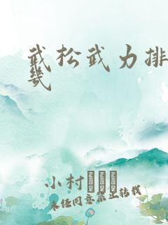 武松武力排名第几