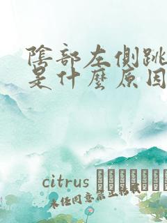 阴部左侧跳着疼是什么原因