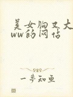 美女胸又大又www的网站