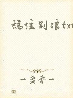稳住别浪txt