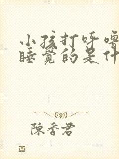 小孩打呼噜张嘴睡觉的是什么原因?