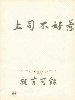 上司不好惹