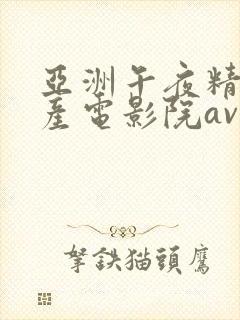 亚洲午夜精品国产电影院av