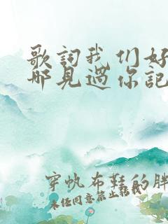 歌词我们好像在哪见过你记得吗
