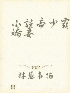 小说帝少霸宠小娇妻
