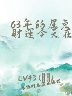 63年的属兔人财运今天在哪方