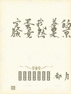 完蛋我养的小白脸竟然是京圈太子爷