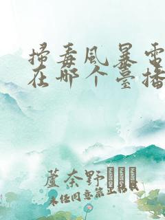 扫毒风暴电视剧在哪个台播放