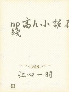 np高h小说在线