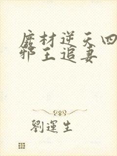 废材逆天四小姐邪王追妻