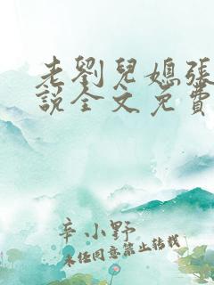 老刘儿媳张岚小说全文免费阅读