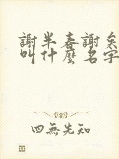 谢半春谢矣小说叫什么名字