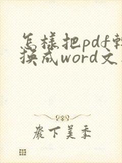 怎样把pdf转换成word文档