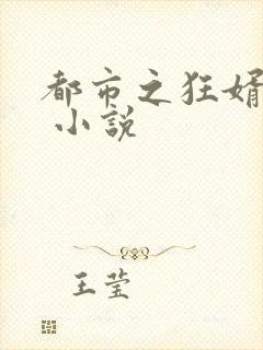 都市之狂婿战神 小说