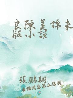 良陈美锦未删减版小说