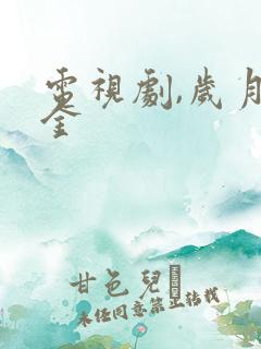 电视剧,岁月如金