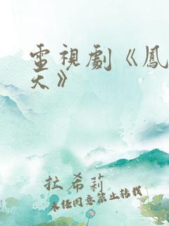 电视剧《凤唳九天》