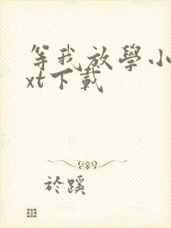 等我放学小说txt下载
