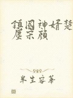 镇国神婿楚尘楚尘宋颜