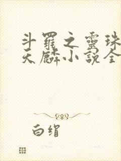 斗罗之灵珠神剑天麟小说全文在线阅读