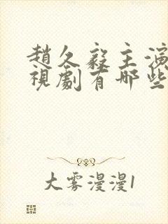 赵久毅主演的电视剧有哪些