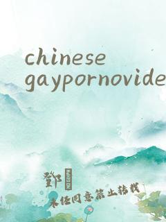 chinesegaypornovideos