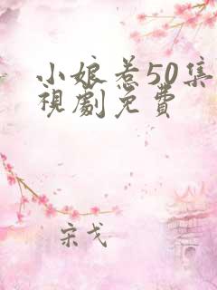 小娘惹50集电视剧免费