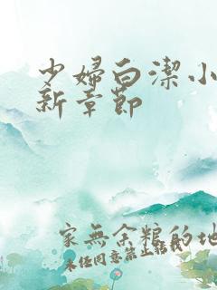 少妇白洁小说最新章节