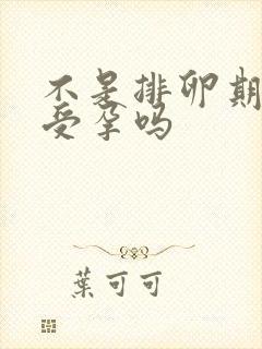 不是排卵期容易受孕吗