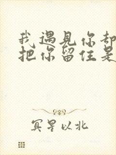 我遇见你却没能把你留住是什么歌