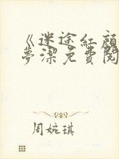 《迷途红颜》陈梦洁免费阅读