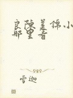 良陈美锦小说在哪里看