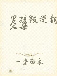 男孩叛逆期打骂父母