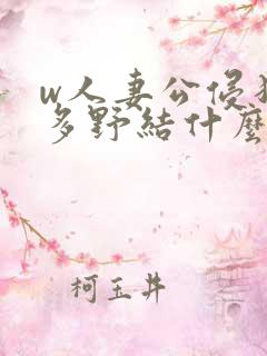 w人妻公侵犯波多野结什么销售在线播放