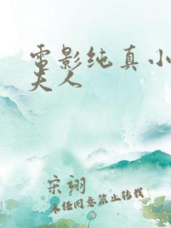 电影纯真小镇的夫人