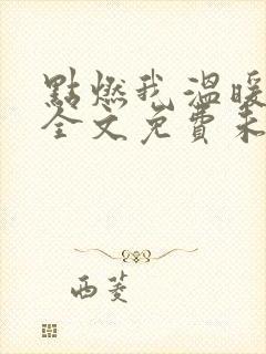 点燃我温暖你 全文免费未删减