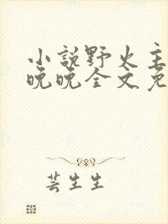 小说野火主角林晚晚全文免费阅读
