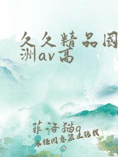 久久精品国产亚洲av高