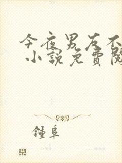 今夜男友不在家 小说免费阅读全文